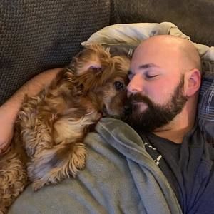 Meet your Posher, Joe